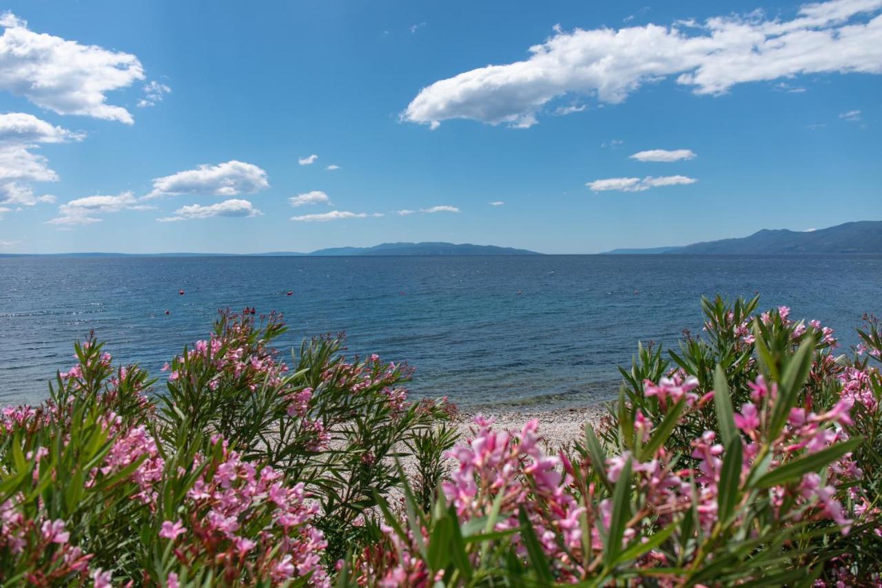 Apartman Ivana Rijeka Bagian luar foto